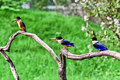 腾讯收购波兰发行商1C Entertainment