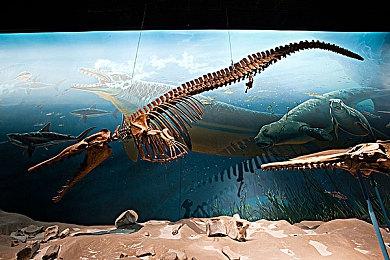 《红至日2：幸存者》发布Demo 现可免费游玩